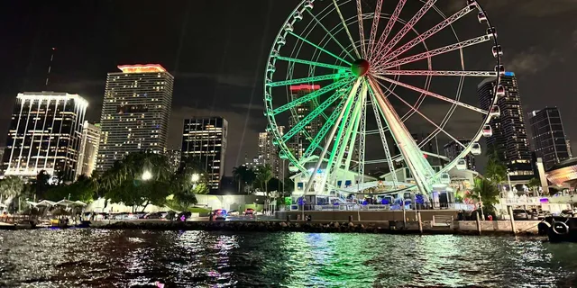 Miami Beach Sandbar & Skyline Boat Tour - Image 5
