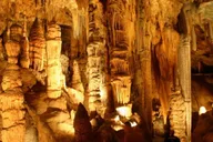 Washington D.C. Shenandoah and Luray Caverns Tour thumbnail 2
