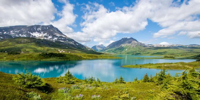 Seward Lost Lake Trail Hiking 8 hr - Image 4