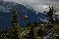 Bellingham to Whistler Private Tour thumbnail 2