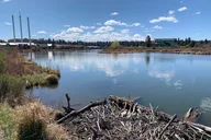 Bend Scavenger Hunt Citywide 3 hr thumbnail 3