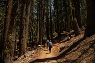 Yosemite High Country Tour & Hike thumbnail 4