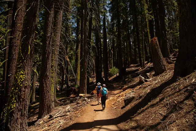 Yosemite High Country Tour & Hike - Image 4