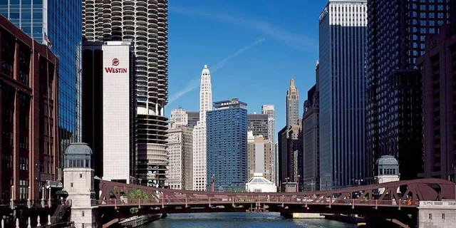 Chicago Downtown Guided Walking Tour - Image 3