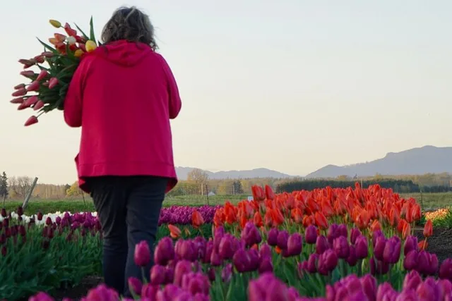 Seattle Tulip Festival Day Tour - Image 3