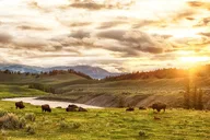 Jackson Hole Yellowstone National Park Tour thumbnail 2