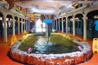Key West Aquarium Tour thumbnail 4
