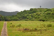 Maui Road to Hana Tour with Scenic Stops thumbnail 5