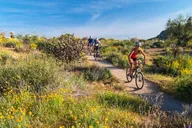 Scottsdale Mountain Bike Tour in Sonoran Desert thumbnail 2