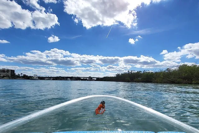 Jupiter Clear Kayak Eco Tour - Image 3