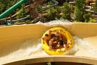 Pigeon Forge Dollywood & Splash Country Combo Ticket thumbnail 5