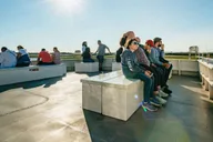 Cape May Sunset Cruise & Dolphin Watching 2 hr thumbnail 5