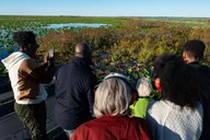 Boggy Creek Airboat Adventure with Gem Mining and Lunch thumbnail 2