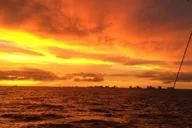 Panama City Beach Sunset Dolphin Catamaran Sail thumbnail 6
