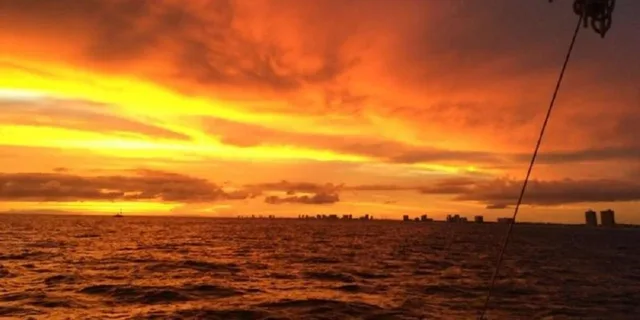 Panama City Beach Sunset Dolphin Catamaran Sail - Image 6