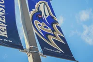 Baltimore Ravens Football Game at M&T Bank Stadium thumbnail 1