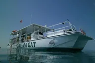 Key West Snorkel Adventure thumbnail 4