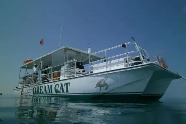 Key West Snorkel Adventure - Image 4
