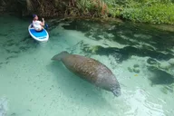 Miami Nature & Island SUP/Kayak Exploration thumbnail 2