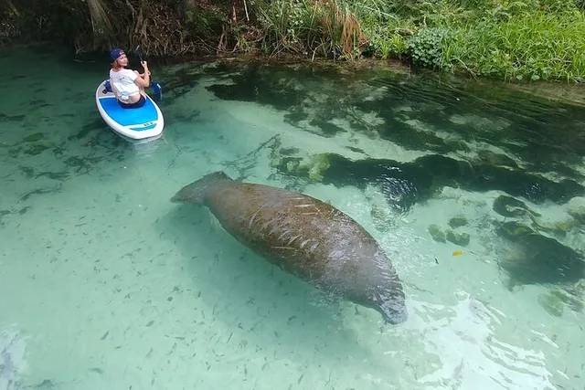 Miami Nature & Island SUP/Kayak Exploration - Image 2
