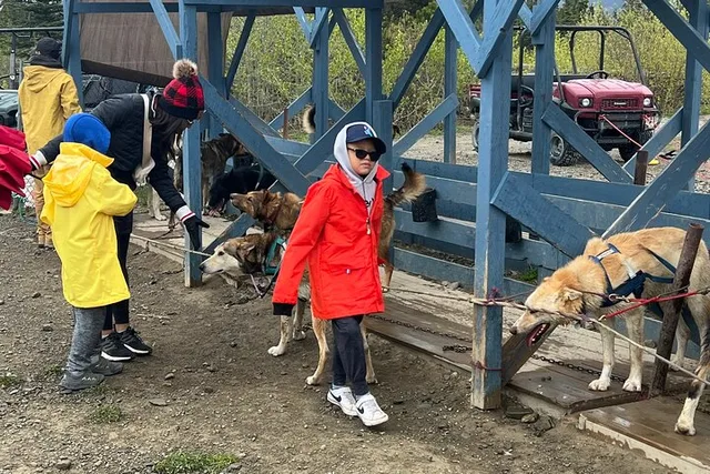 Skagway Dog Mushing and Yukon Experience - Image 4