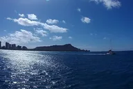Honolulu Turtle Canyon Snorkel Adventure 2.5 hr thumbnail 6