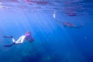 Maui Underwater Scooter Snorkeling Tour thumbnail 6