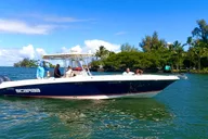 Hilo Humpback Whale-Watching Cruise 1.5 hr thumbnail 3