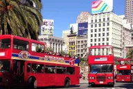 San Francisco Hop-On Hop-Off Bus Tour 2-Day Pass thumbnail 2