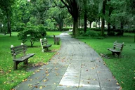 Savannah Sightseeing & History Walking Tour thumbnail 3