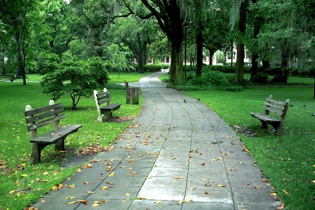 Savannah Sightseeing & History Walking Tour - Image 3