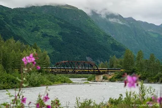 Girdwood Bears, Trains & Icebergs Tour