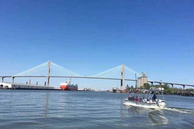Savannah Dolphin Eco Tour - Image 5