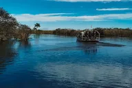 Miami Everglades Airboat Tour with Pickup 1 hr thumbnail 6