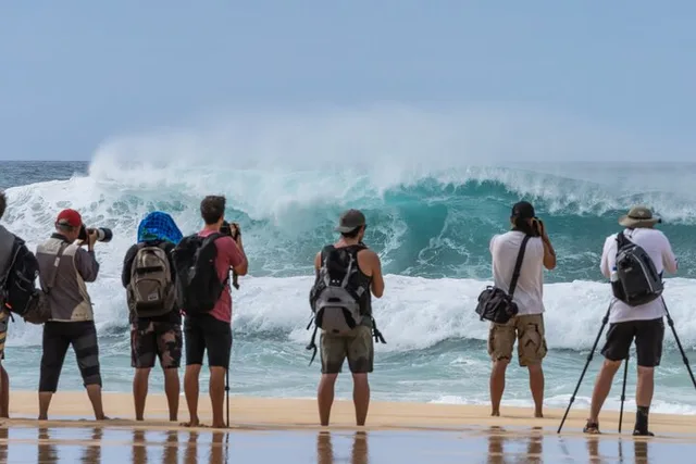 Oahu North Shore Private Van Tour - Image 4
