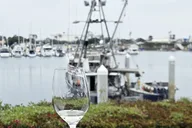 Solvang Wine Tour by Car thumbnail 6