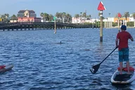 Daytona Paddle Board Rental thumbnail 3