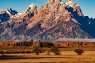 Jackson Grand Teton National Park Tour 4 hr thumbnail 2
