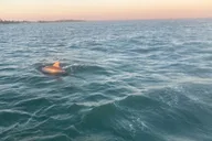 Panama City Beach Dolphin and Sightseeing Tour 2 hr thumbnail 4