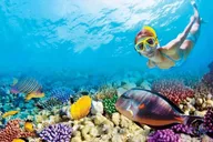 Key West Coral Reef Snorkeling and Open Bar Tour thumbnail 2