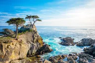 Monterey Ocean Trolley and Walking Tour thumbnail 1