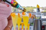 Plymouth Party Cruise with Drinks and Music 2 hr thumbnail 3