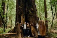 San Francisco City Tour with Muir Woods & Sausalito thumbnail 5