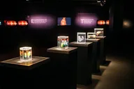Las Vegas Bodies The Exhibition thumbnail 5