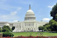 Washington DC Private Full-day Car Trip from NYC thumbnail 3