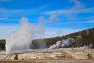 Cody Yellowstone National Park Day Tour thumbnail 5