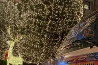 San Francisco Holiday Lights VW Bus Tour 1.5 hr thumbnail 6