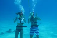 Key West SNUBA Experience thumbnail 5
