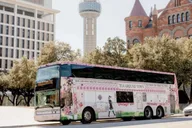 Dallas Tea Bus Tour with Treats 1.5 hr thumbnail 1