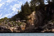 Seward Kenai Fjords Glacier & Wildlife Cruise 6 hr thumbnail 6